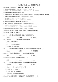 大象版六年级上册科学期末测试2（含答案）