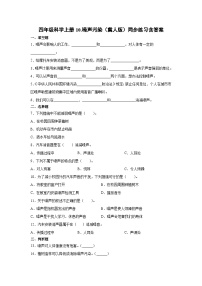 小学科学冀人版 (2017)四年级上册声音的世界10 噪声污染精练