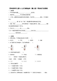 小学冀人版 (2017)12 让灯泡亮起来练习