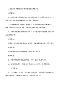 六年级下科学教案2放大镜下的昆虫世界_教科版