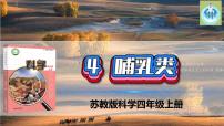 小学科学第一单元 动物大家族4 哺乳类教学演示课件ppt