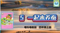 科学四年级上册5 一起来养蚕评课ppt课件