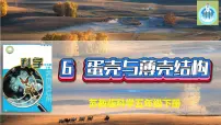 小学科学苏教版 (2017)五年级下册第二单元 仿生6 蛋壳与拱形建筑授课ppt课件
