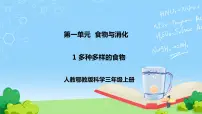 小学科学人教鄂教版 (2017)三年级上册第一单元 食物与消化1 多种多样的食物完美版课件ppt