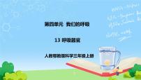小学科学人教鄂教版 (2017)三年级上册13 呼吸器官优质课件ppt