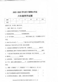 河南省周口市太康县2022-2023学年六年级下学期6月期末科学试题