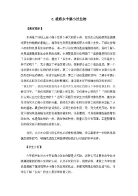 教科版 (2017)六年级上册6.观察水中微小的生物教案设计