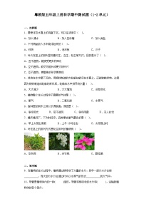 粤教版五年级上册科学期中测试题（1-2单元）（含答案）