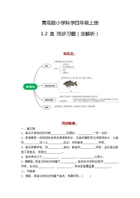 青岛版 (六三制2017)四年级上册2 鱼巩固练习