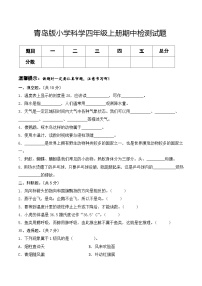 青岛版科学四年级上册 期中（试卷）期中检测B卷+答案