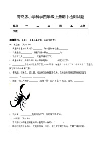 青岛版科学四年级上册 期中（试卷）期中检测C卷+答案