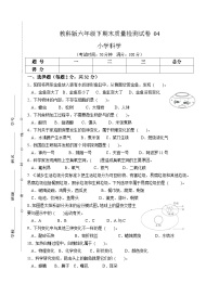 教科版六年级下期末质量检测试卷04