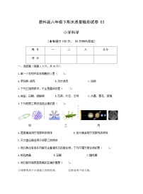 教科版六年级下期末质量检测试卷03