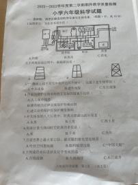 山东省菏泽市鄄城县2022-2023学年六年级下学期7月期末科学试题