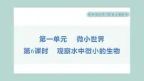 教科版 (2017)六年级上册6.观察水中微小的生物习题ppt课件