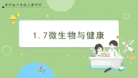教科版 (2017)六年级上册7.微生物与健康优秀ppt课件