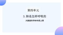 小学科学大象版 (2017)四年级上册3 肺是怎样呼吸的优质课件ppt