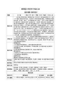 小学科学教科版 (2017)六年级上册1.放大镜精品教案