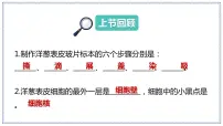 教科版 (2017)六年级上册5.观察更多的生物细胞优质课ppt课件