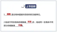 小学科学教科版 (2017)六年级上册6.观察水中微小的生物教学演示ppt课件