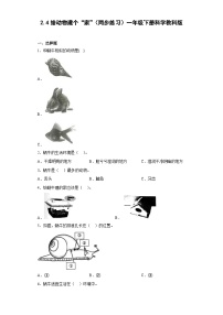 教科版 (2017)一年级下册4.给动物建个“家”精品同步达标检测题