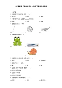 小学科学教科版 (2017)一年级下册5.观察鱼优秀练习