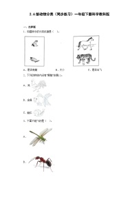 小学科学教科版 (2017)一年级下册6.给动物分类精品练习