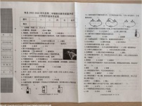 河北省沧州市青县2022-2023学年四年级下学期期末考试科学试题