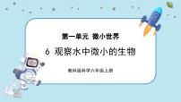 小学科学教科版 (2017)六年级上册6.观察水中微小的生物评优课教学课件ppt