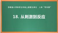 小学科学苏教版 (2017)五年级上册18 从刺激到反应优秀课件ppt