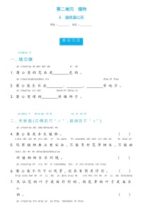 小学冀人版 (2017)6 观察蒲公英优秀综合训练题