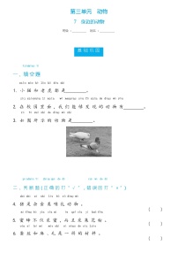 科学一年级上册7 身边的动物精品课时练习