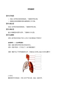 人教鄂教版 (2017)三年级上册13 呼吸器官优秀达标测试