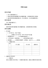 科学4 呼吸与运动精品课时作业