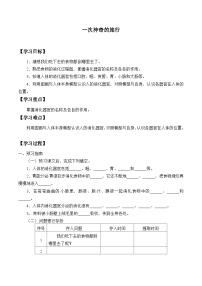 科学四年级上册1 一次神奇的旅行精品课后测评