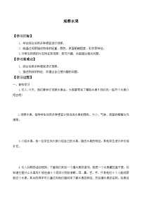 小学科学大象版 (2017)一年级上册2 观察水果优秀同步达标检测题