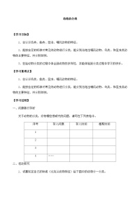 小学科学大象版 (2017)三年级上册3 动物的分类优秀当堂达标检测题