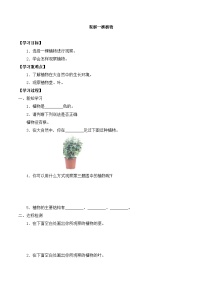 科学一年级上册植物精品课时作业