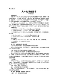 大象版 (2017)四年级上册1 一次神奇的旅行精品课时训练