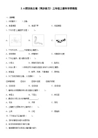 三年级上册6 肥沃的土壤优秀练习题