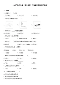 三年级上册6 肥沃的土壤优秀练习题