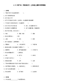 科学三年级上册13 地下水精品同步训练题