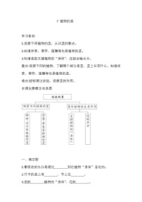 小学7 植物的茎精品课后复习题