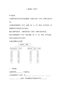 青岛版 (六三制2017)三年级上册5 植物的“身体”优秀课后复习题