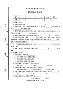 山东省枣庄市市中区2022-2023学年四年级下学期期末科学试卷