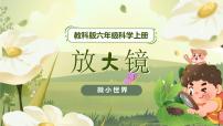 小学1.放大镜获奖备课ppt课件