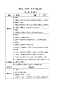 科学六年级上册1.放大镜获奖教学设计