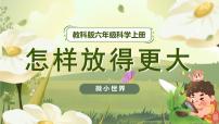 小学科学教科版 (2017)六年级上册2.怎样放得更大精品备课ppt课件