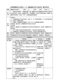 小学科学人教鄂教版 (2017)五年级上册6 植物的后代与亲代优质教案