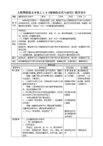 小学科学人教鄂教版 (2017)五年级上册6 植物的后代与亲代优质教案